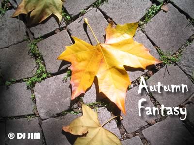 DJ JIM — Autumn Fantasy